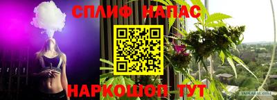 ешки Жуковский